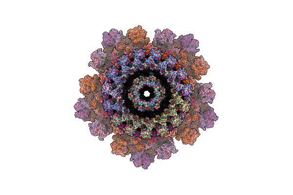 8FXR image
