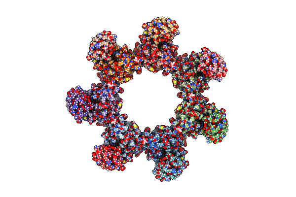 8FXZ image