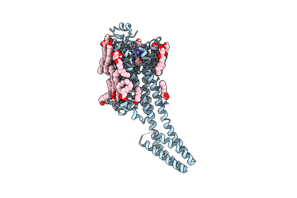 8FYN image