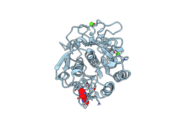 8FYP image