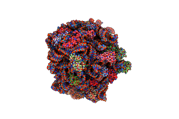 8FZF image
