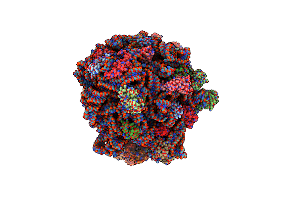 8FZI image
