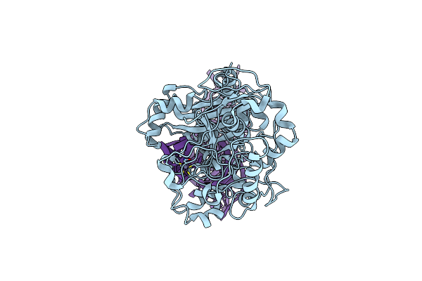 8FZR image