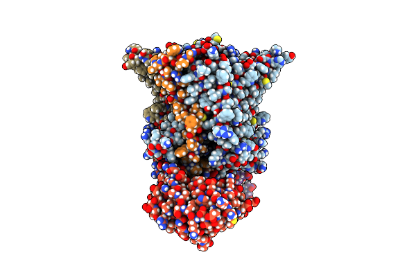 8G02 image
