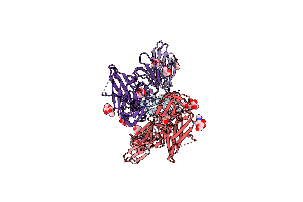 8G04 image