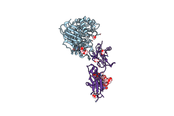8G0M image
