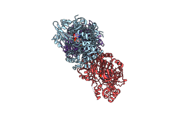 8G0R image