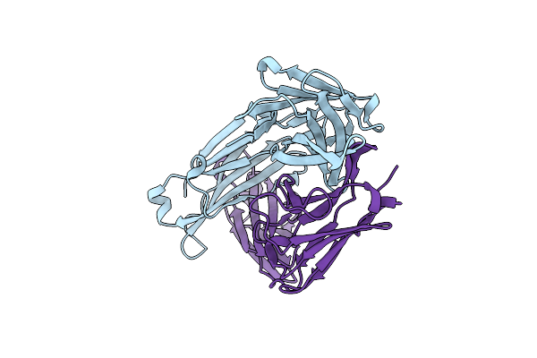 8G19 image
