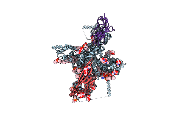 8G1A image