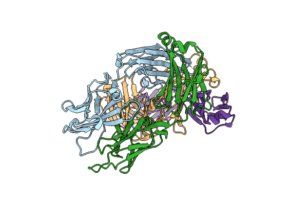 8G1B image