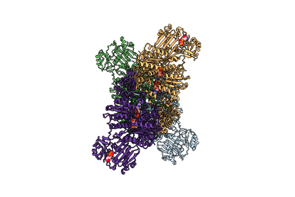 8G1E image