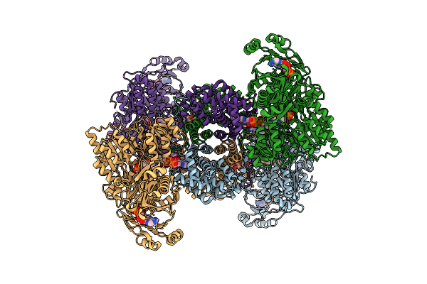 8G1F image