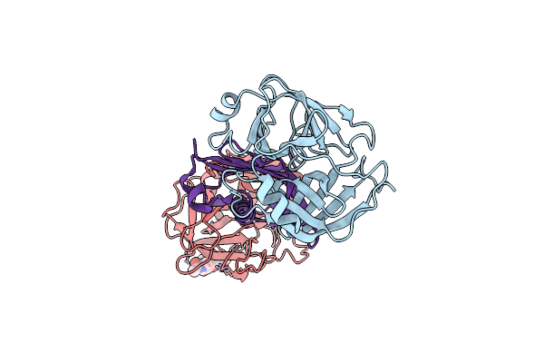 8G24 image