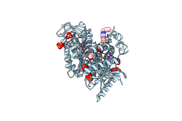 8G2E image