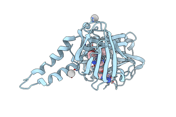 8G2I image