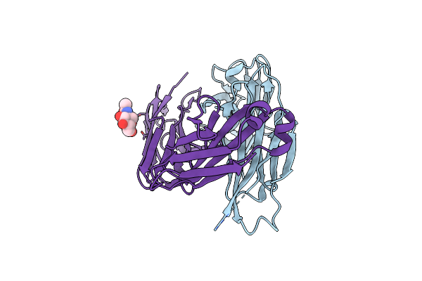 8G2O image