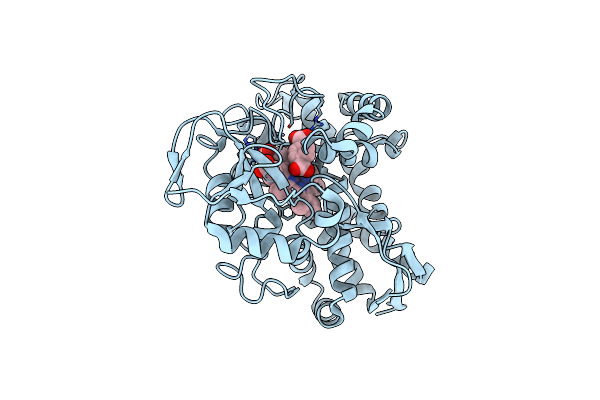 8G36 image