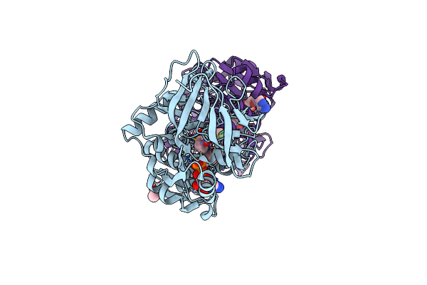 8G4V image