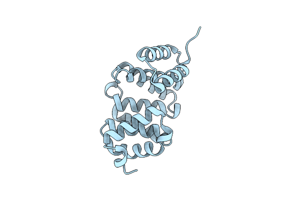 8G53 image