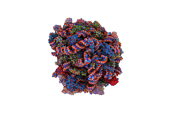 8G5Z image