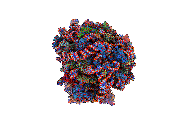 8G61 image