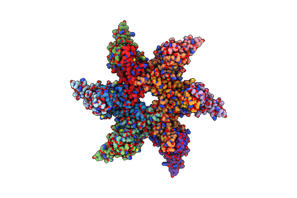 8G6V image