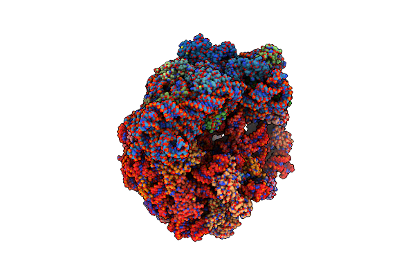 8G6W image
