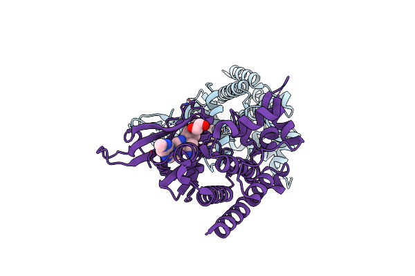8G6Z image
