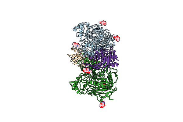 8G81 image