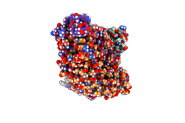 8G8D image