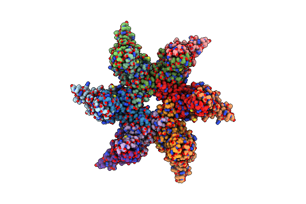 8G8Y image