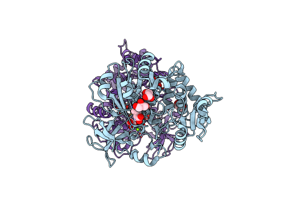 8G97 image