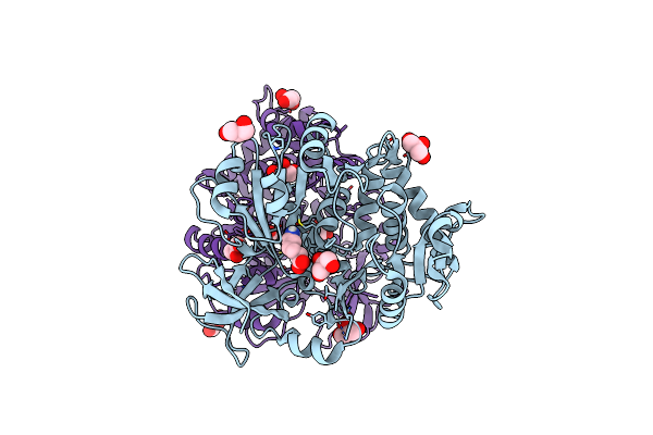 8G98 image