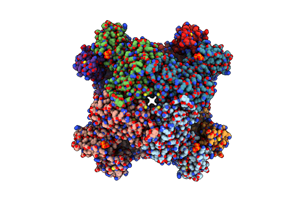 8G9B image
