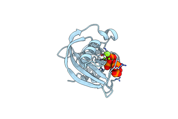 8G9C image