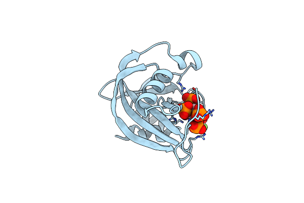 8G9D image