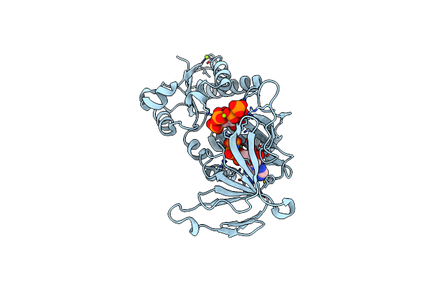 8G9E image