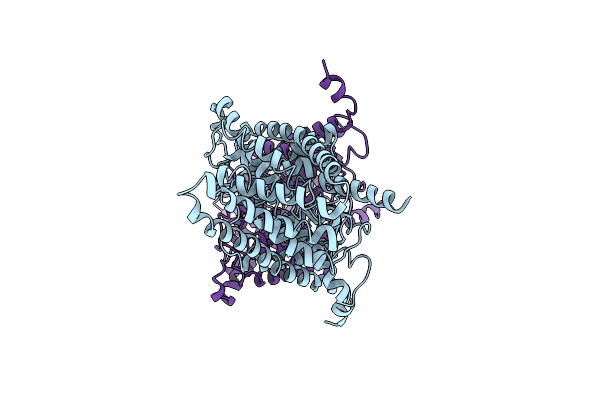 8GA0 image