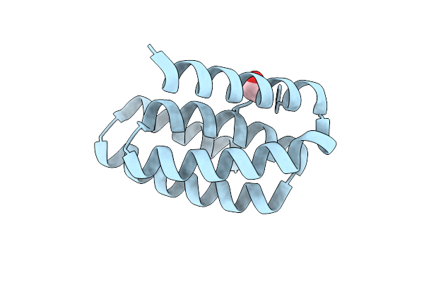 8GAC image