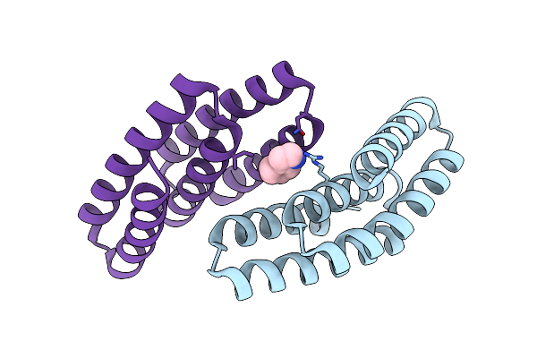 8GAD image