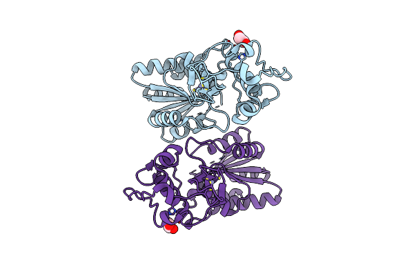 8GBN image