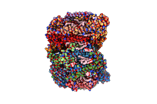 8GBT image