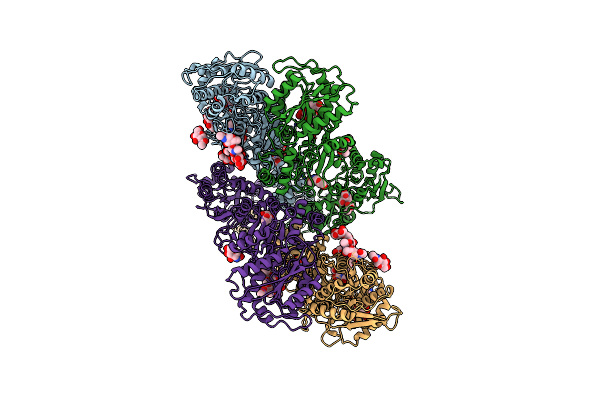 8GC2 image