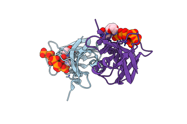 8GC9 image