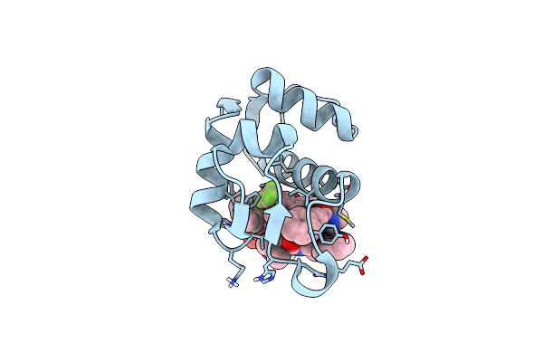 8GCG image