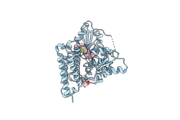 8GCY image