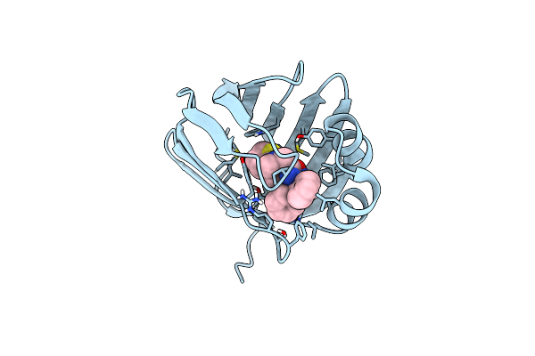 8GDM image