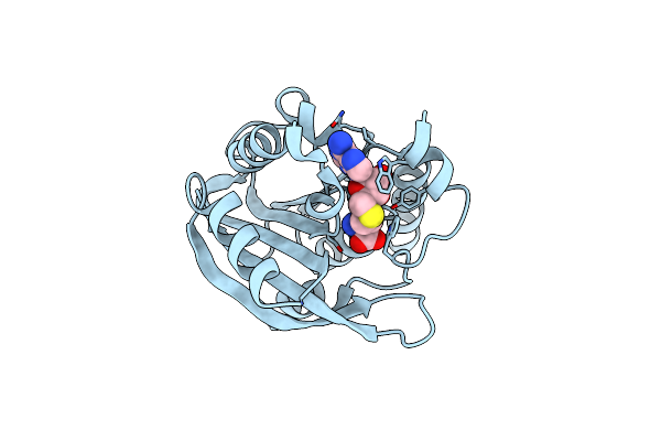 8GDU image