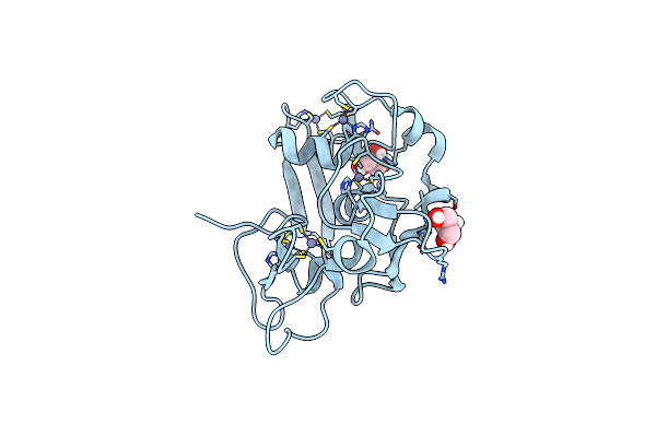 8GDX image