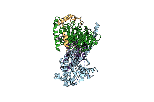 8GEF image